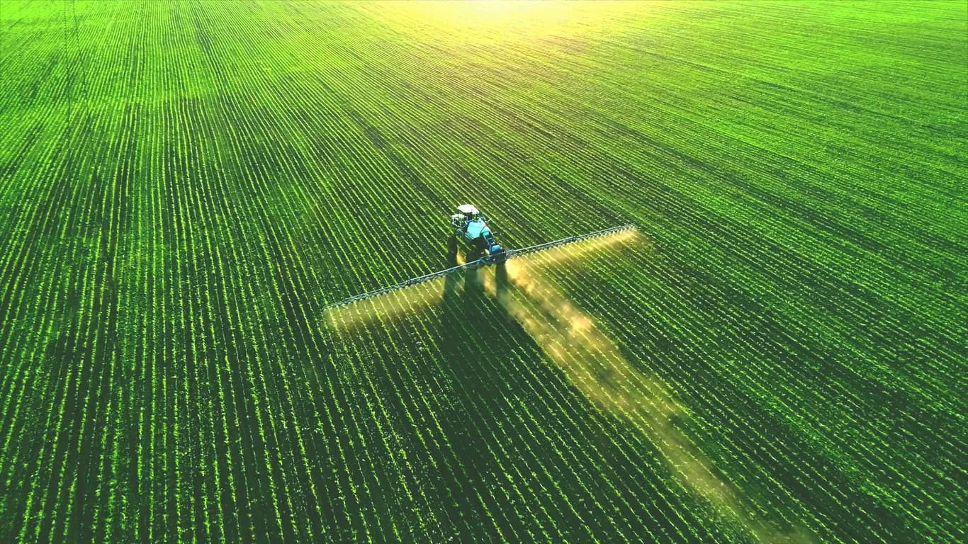 about image